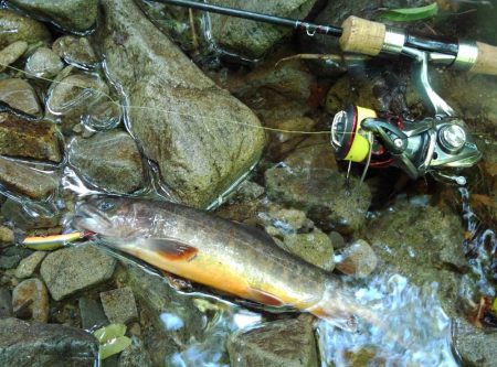 渓流ミノーイング ～長良川水系～